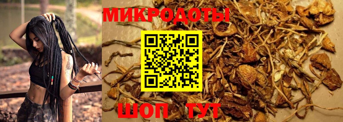 Мурино  Псилоцибиновые грибы MAGIC MUSHROOMS  где продают наркотики  Вход с VPN 