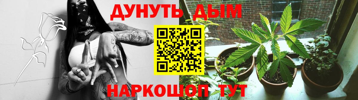 Конопля SATIVA & INDICA  Бошки марихуана AK-47  Бошки Шишки ГИДРОПОН  Мурино  Вход с VPN  Канабис план 